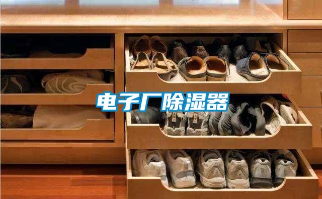 電子廠(chǎng)除濕器