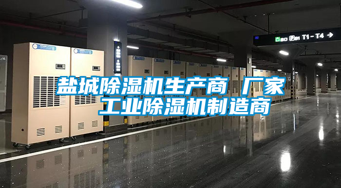 鹽城除濕機生產(chǎn)商 廠(chǎng)家  工業(yè)除濕機制造商