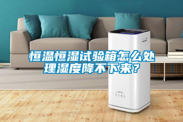 恒溫恒濕試驗箱怎么處理濕度降不下來(lái)？