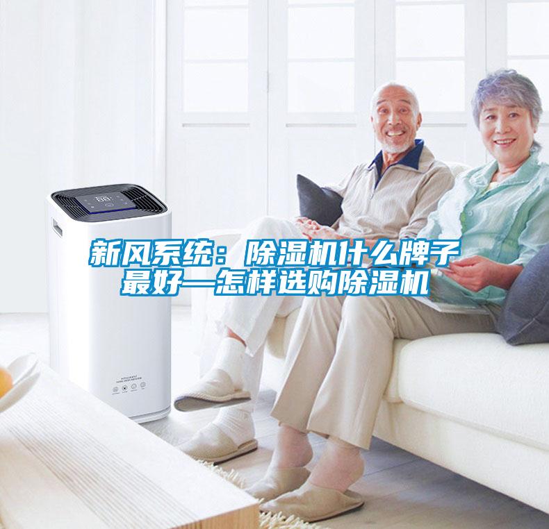新風(fēng)系統：除濕機什么牌子最好—怎樣選購除濕機