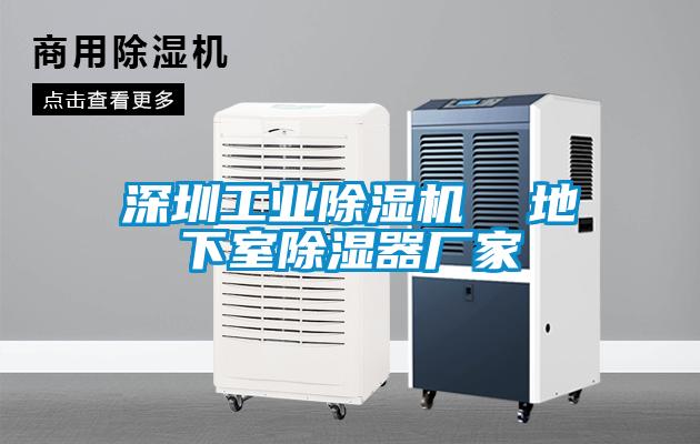 深圳工業(yè)除濕機  地下室除濕器廠(chǎng)家