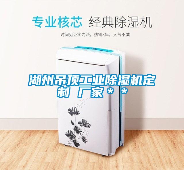 湖州吊頂工業(yè)除濕機定制 廠(chǎng)家＊＊