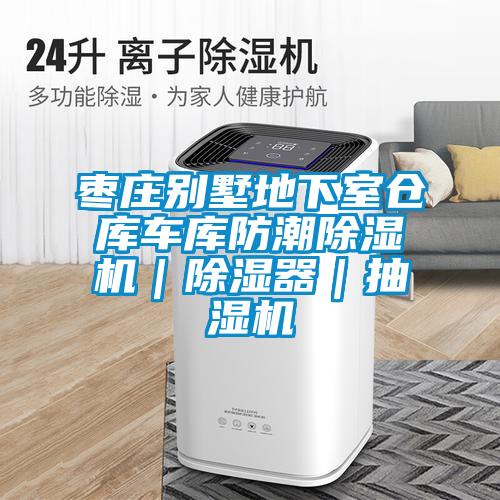 棗莊別墅地下室倉庫車(chē)庫防潮除濕機｜除濕器｜抽濕機