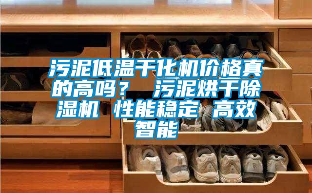 污泥低溫干化機價(jià)格真的高嗎？ 污泥烘干除濕機 性能穩定 高效智能