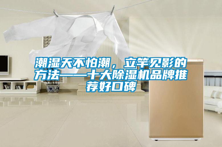 潮濕天不怕潮，立竿見(jiàn)影的方法——十大除濕機品牌推薦好口碑
