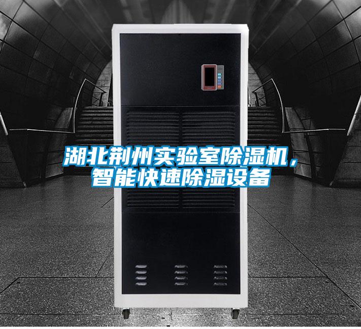 湖北荊州實(shí)驗室除濕機，智能快速除濕設備