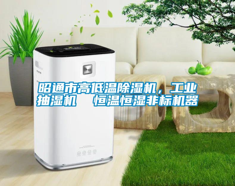 昭通市高低溫除濕機，工業(yè)抽濕機  恒溫恒濕非標機器
