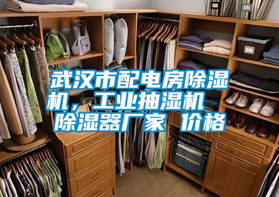 武漢市配電房除濕機，工業(yè)抽濕機  除濕器廠(chǎng)家 價(jià)格