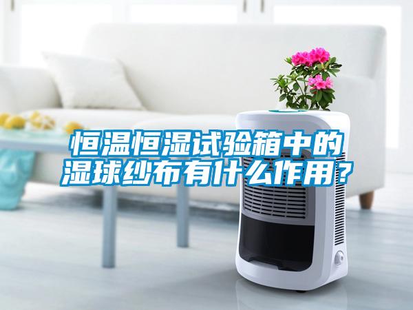 恒溫恒濕試驗箱中的濕球紗布有什么作用？