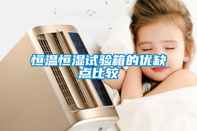 恒溫恒濕試驗箱的優(yōu)缺點(diǎn)比較