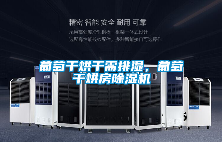 葡萄干烘干需排濕，葡萄干烘房除濕機
