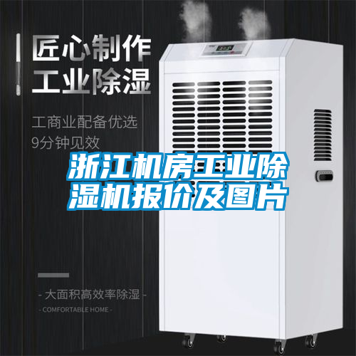 浙江機房工業(yè)除濕機報價(jià)及圖片