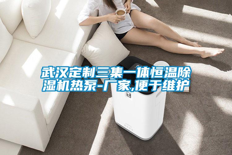 武漢定制三集一體恒溫除濕機熱泵-廠(chǎng)家,便于維護