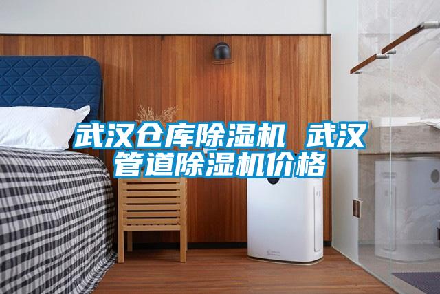 武漢倉庫除濕機 武漢管道除濕機價(jià)格