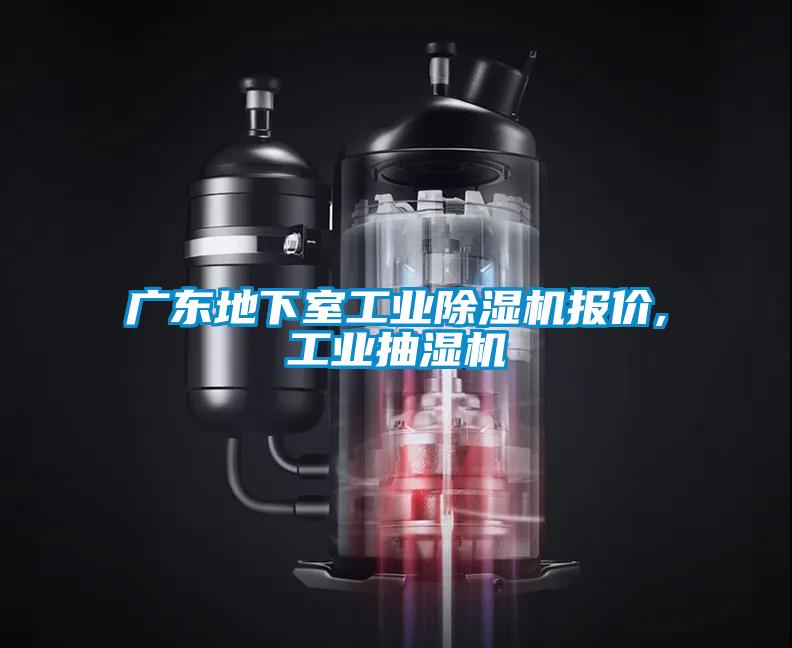 廣東地下室工業(yè)除濕機報價(jià),工業(yè)抽濕機