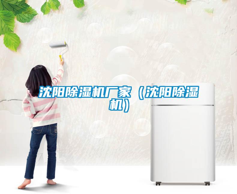 沈陽(yáng)除濕機廠(chǎng)家（沈陽(yáng)除濕機）
