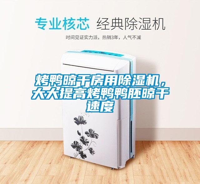 烤鴨晾干房用除濕機，大大提高烤鴨鴨胚晾干速度