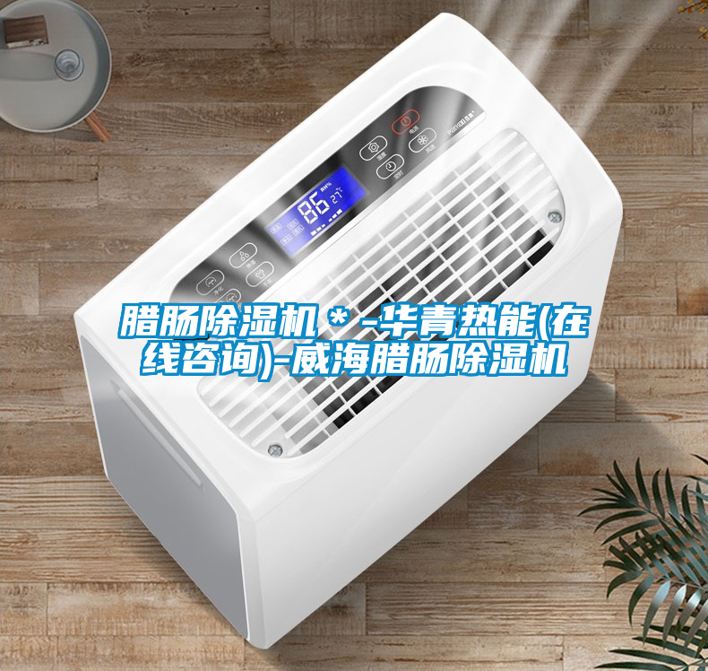 臘腸除濕機＊-華青熱能(在線(xiàn)咨詢(xún))-威海臘腸除濕機