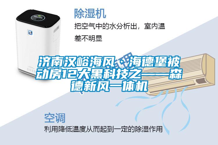 濟南漢峪海風(fēng)·海德堡被動(dòng)房12大黑科技之——森德新風(fēng)一體機
