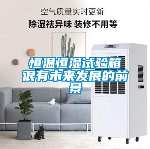 恒溫恒濕試驗箱很有未來(lái)發(fā)展的前景