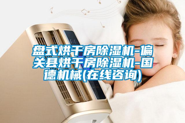 盤(pán)式烘干房除濕機-偏關(guān)縣烘干房除濕機-國德機械(在線(xiàn)咨詢(xún))