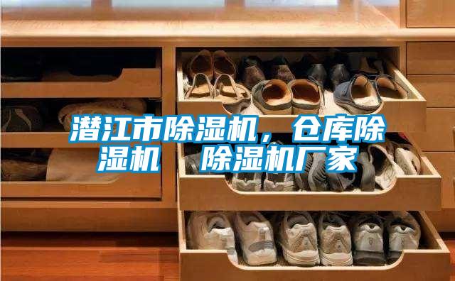 潛江市除濕機，倉庫除濕機  除濕機廠(chǎng)家