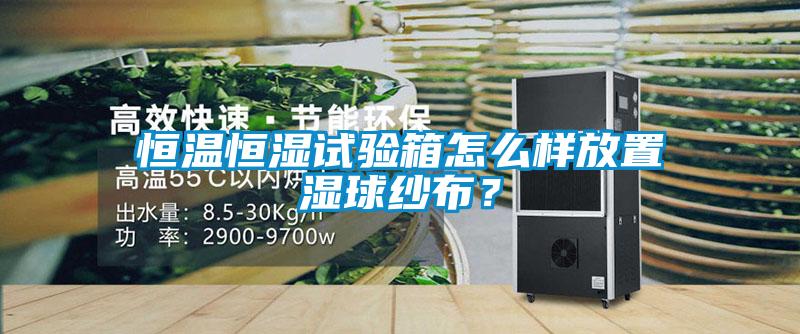 恒溫恒濕試驗箱怎么樣放置濕球紗布？