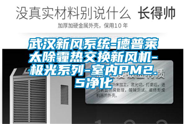 武漢新風(fēng)系統-德普萊太除霾熱交換新風(fēng)機-極光系列-室內PM2.5凈化