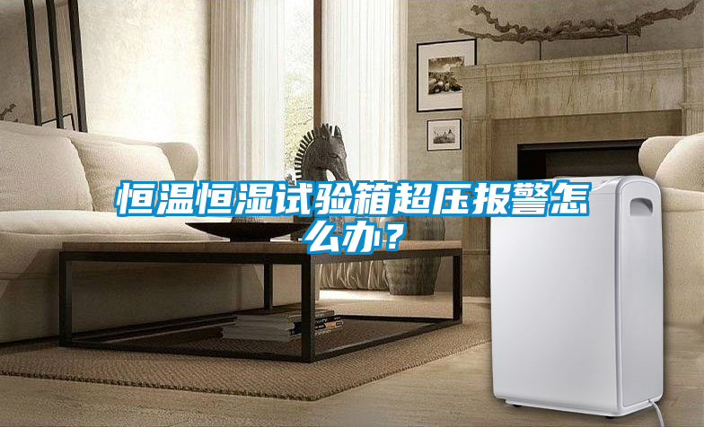 恒溫恒濕試驗箱超壓報警怎么辦？