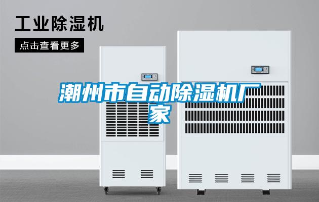 潮州市自動(dòng)除濕機廠(chǎng)家