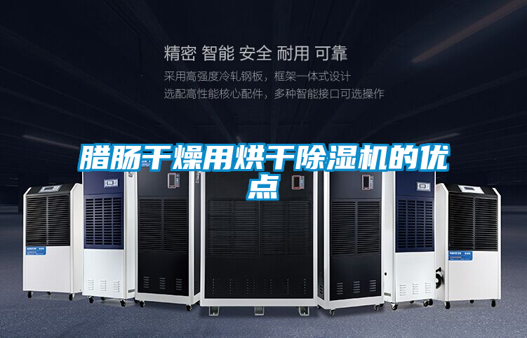 臘腸干燥用烘干除濕機的優(yōu)點(diǎn)
