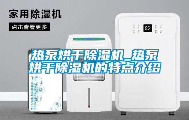 熱泵烘干除濕機_熱泵烘干除濕機的特點(diǎn)介紹