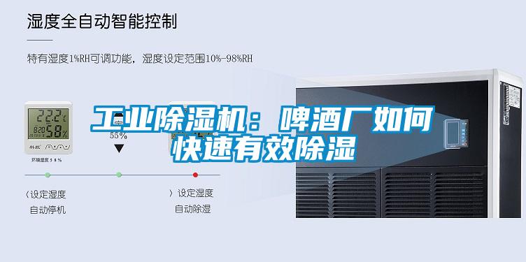 工業(yè)除濕機：啤酒廠(chǎng)如何快速有效除濕
