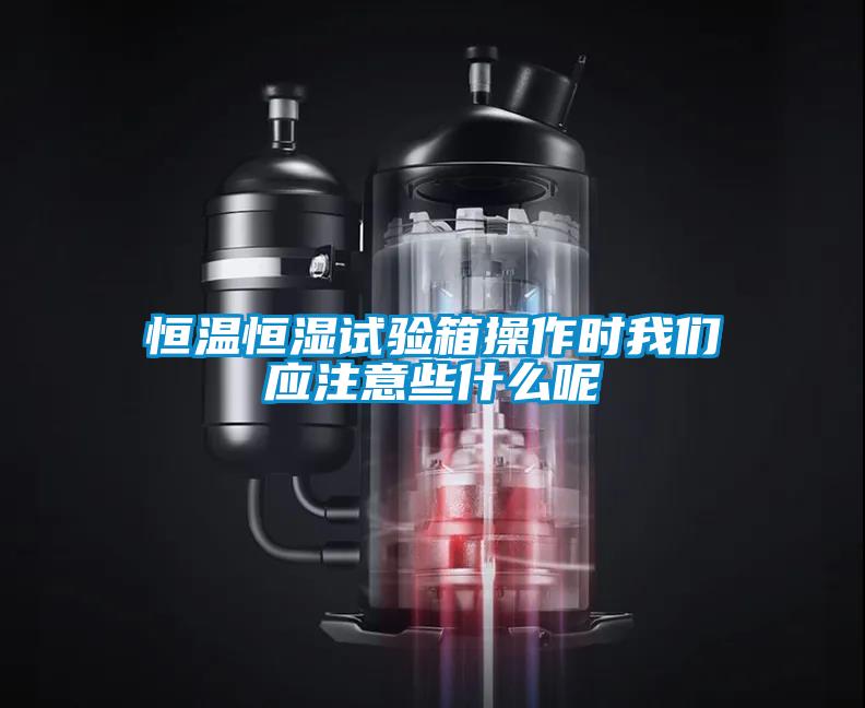 恒溫恒濕試驗箱操作時(shí)我們應注意些什么呢