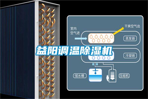 益陽(yáng)調溫除濕機
