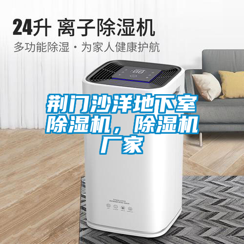 荊門(mén)沙洋地下室除濕機，除濕機廠(chǎng)家