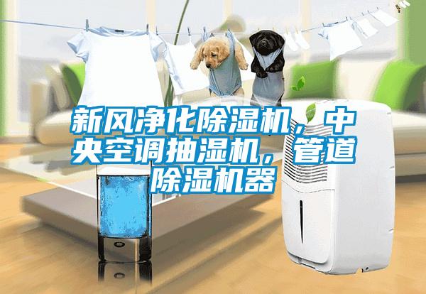 新風(fēng)凈化除濕機，中央空調抽濕機，管道除濕機器