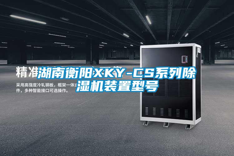 湖南衡陽(yáng)XKY-CS系列除濕機裝置型號