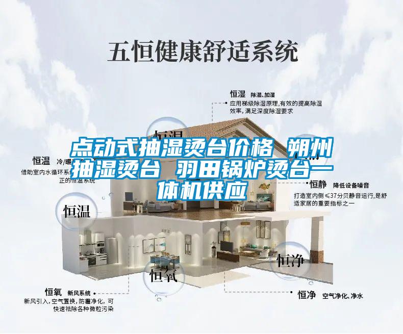 點(diǎn)動(dòng)式抽濕燙臺價(jià)格 朔州抽濕燙臺 羽田鍋爐燙臺一體機供應