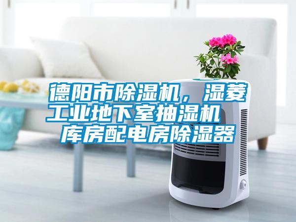 德陽(yáng)市除濕機，濕菱工業(yè)地下室抽濕機  庫房配電房除濕器