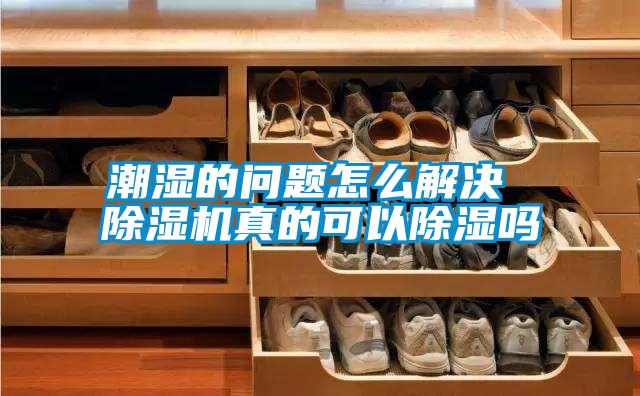 潮濕的問(wèn)題怎么解決 除濕機真的可以除濕嗎