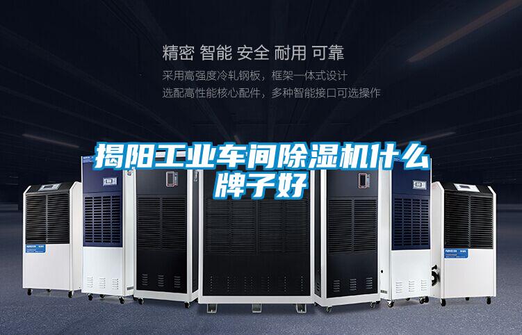 揭陽(yáng)工業(yè)車(chē)間除濕機什么牌子好