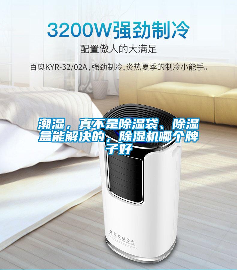 潮濕，真不是除濕袋、除濕盒能解決的，除濕機哪個(gè)牌子好