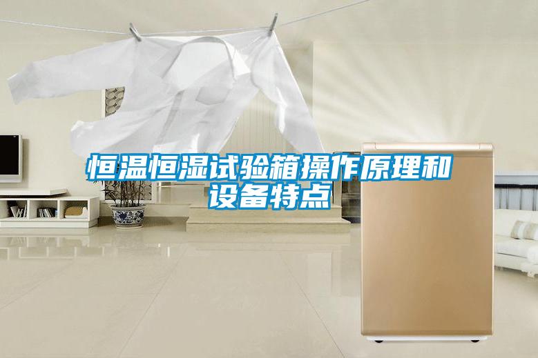 恒溫恒濕試驗箱操作原理和設備特點(diǎn)