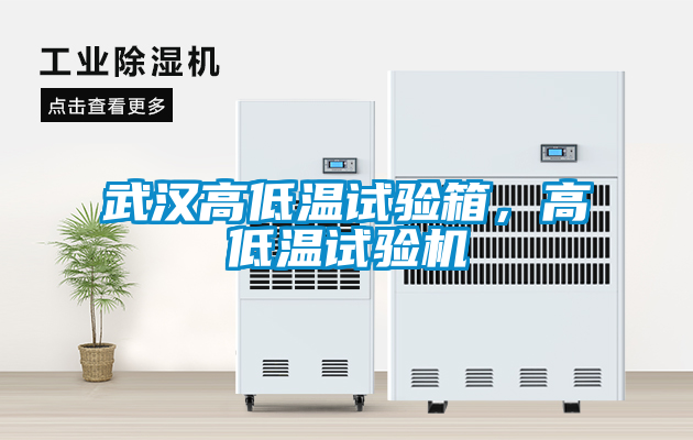 武漢高低溫試驗箱，高低溫試驗機