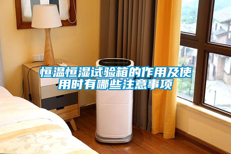 恒溫恒濕試驗箱的作用及使用時(shí)有哪些注意事項