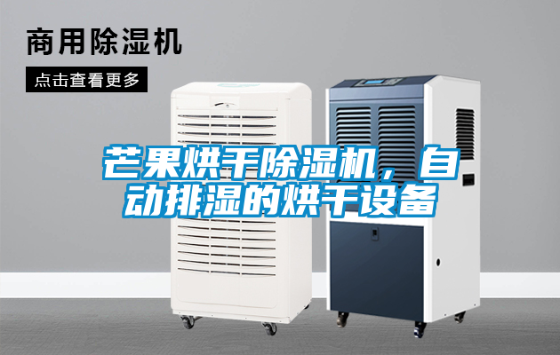 芒果烘干除濕機，自動(dòng)排濕的烘干設備