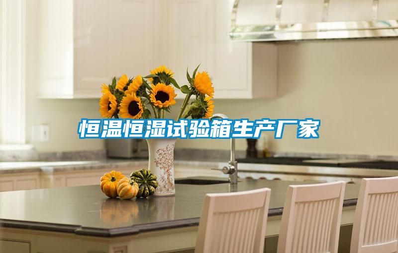 恒溫恒濕試驗箱生產(chǎn)廠(chǎng)家
