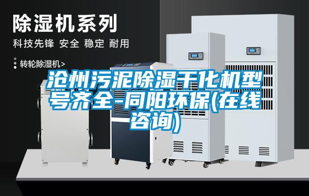 滄州污泥除濕干化機型號齊全-同陽(yáng)環(huán)保(在線(xiàn)咨詢(xún))