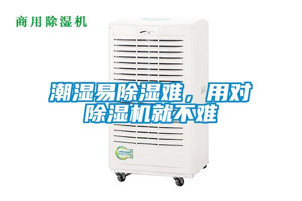 潮濕易除濕難，用對除濕機就不難